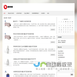 专业的seo优化服务商-盛世传媒官方